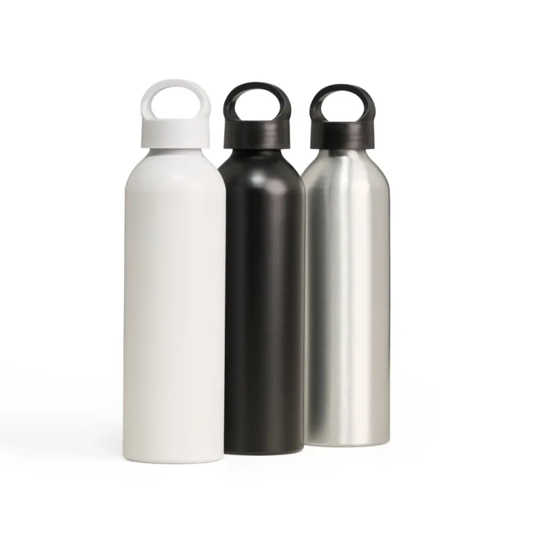 Garrafa Alumínio 630ml 