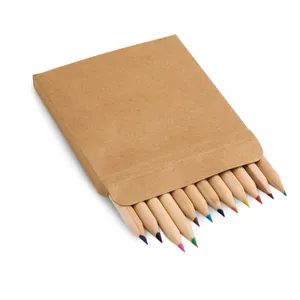 Caixa de cartão com 12 mini lápis de cor