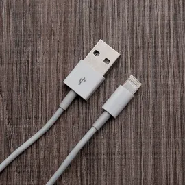 Imagem do produto Cabo de Dados Lightning