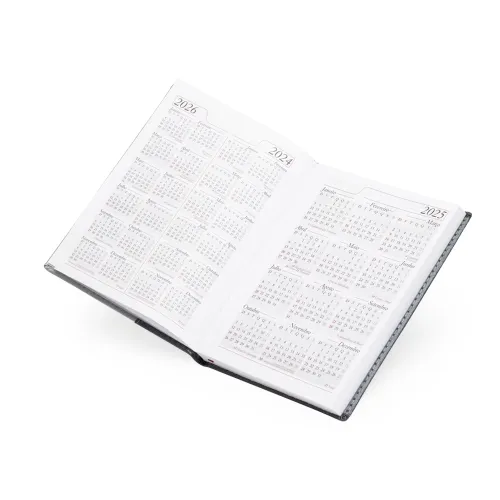 Agenda Diária 2025-12294