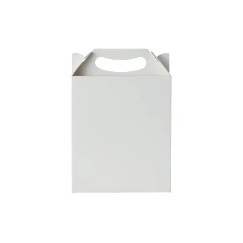Embalagem Maleta P-14750