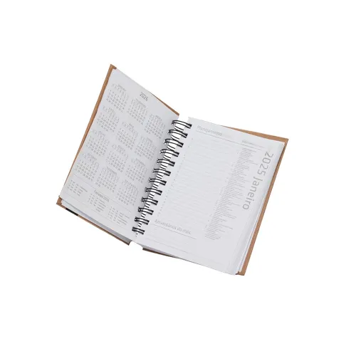 Agenda Diária 2025-15138