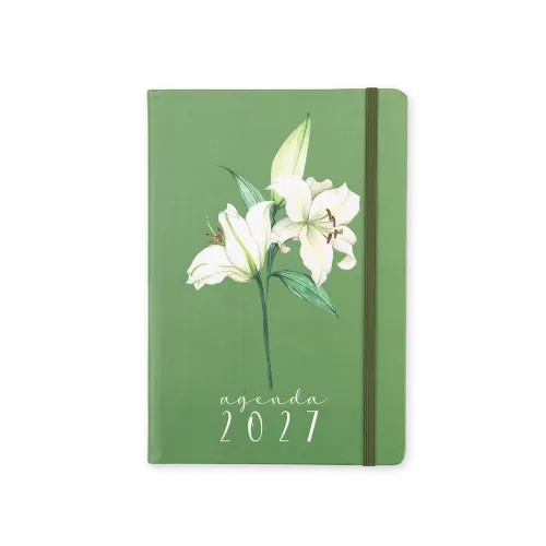 Agenda Diária 2027-15539