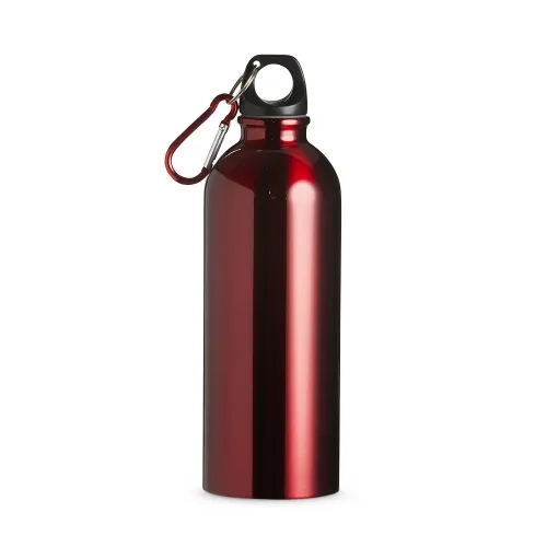 Squeeze Inox 500ml -9139I