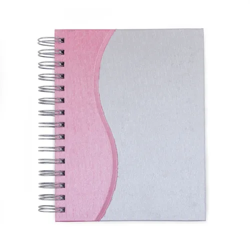 #Agenda Diária 2019-13639-ROS