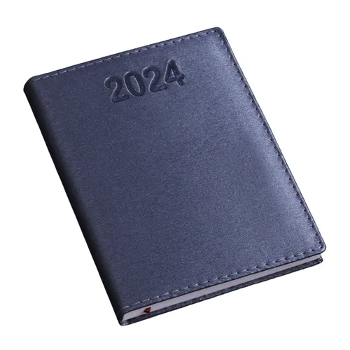 Agenda Diária 2024-12323