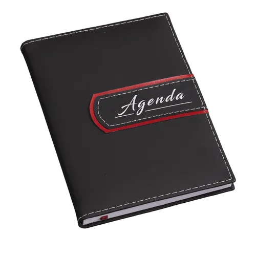 #Agenda Diária 2024-14887-VM