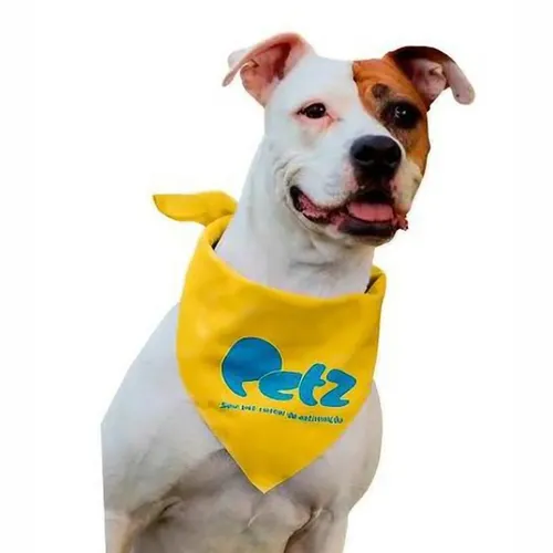 Bandana para Cachorro-BNDNCHR