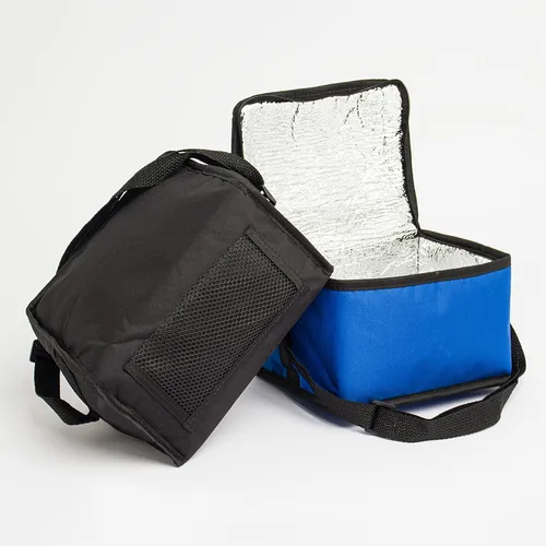 Bolsa Térmica 8 Litros-15109