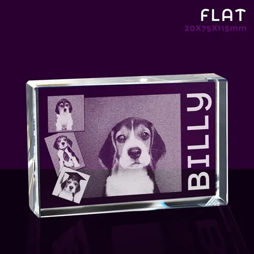 Flat-BL009