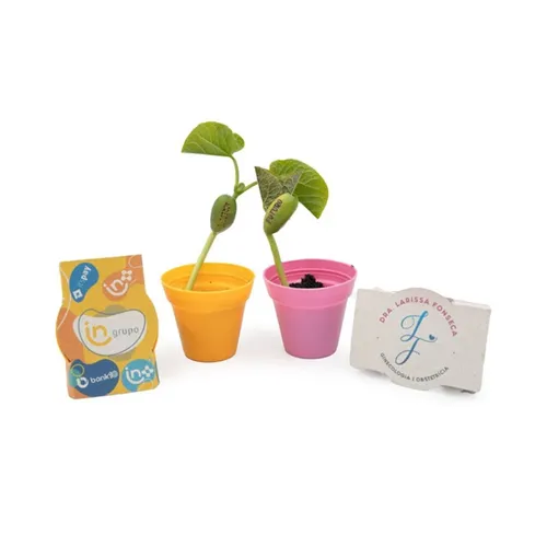 Kit Plantio-LN94SP241