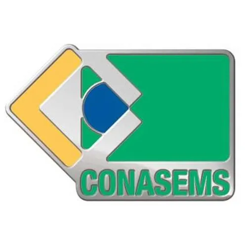 Pin Bandeira -303KR
