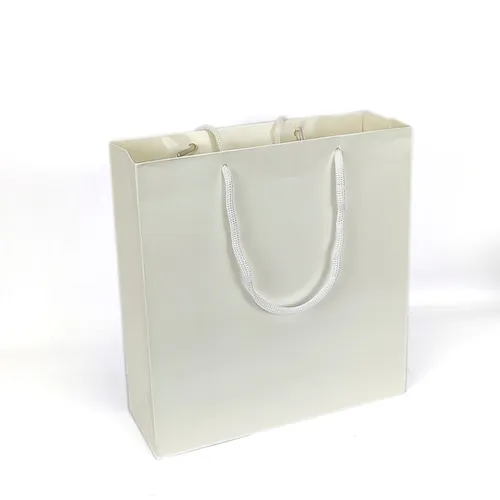 SACOLA PAPEL 23X24X8-SH-EMB002