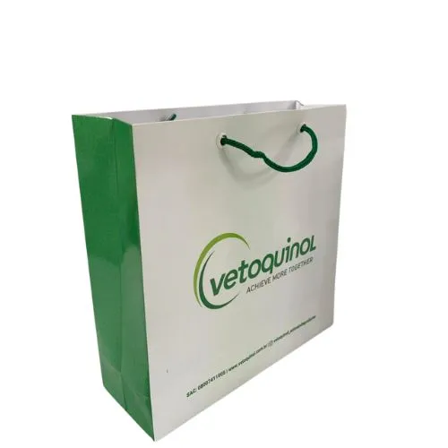 Sacola De Papel-ks_93