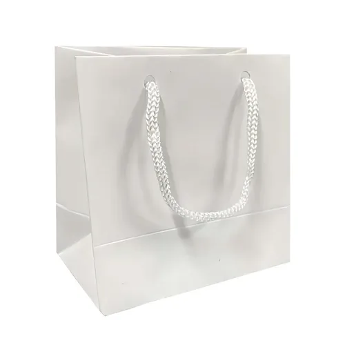 Sacola De Papel Branca-Sacola-P