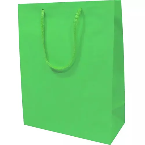 Sacola de Papel Verde Alça Nylon C/10 unidades-SPVAN