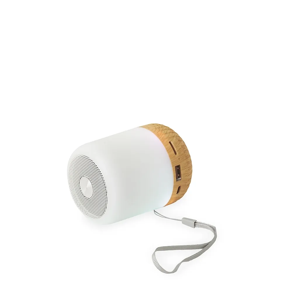 Caixa de Som Multimídia