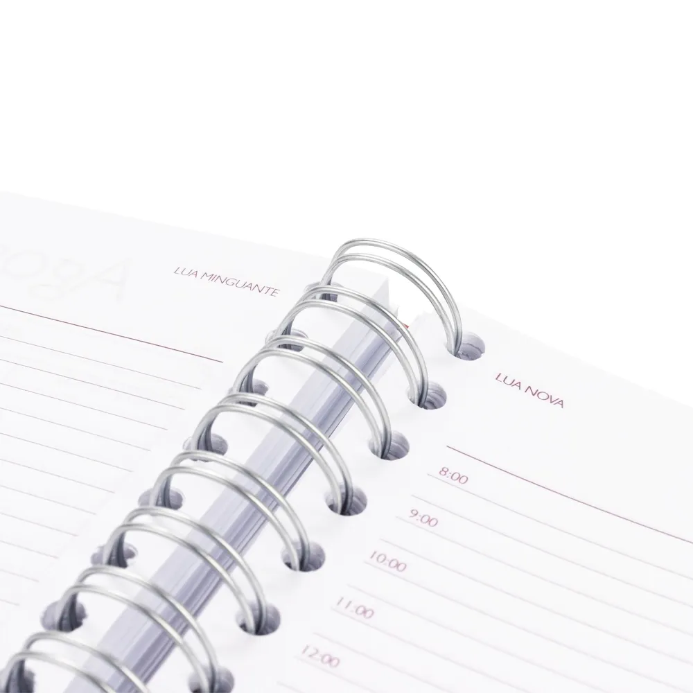 Agenda Diária 2027