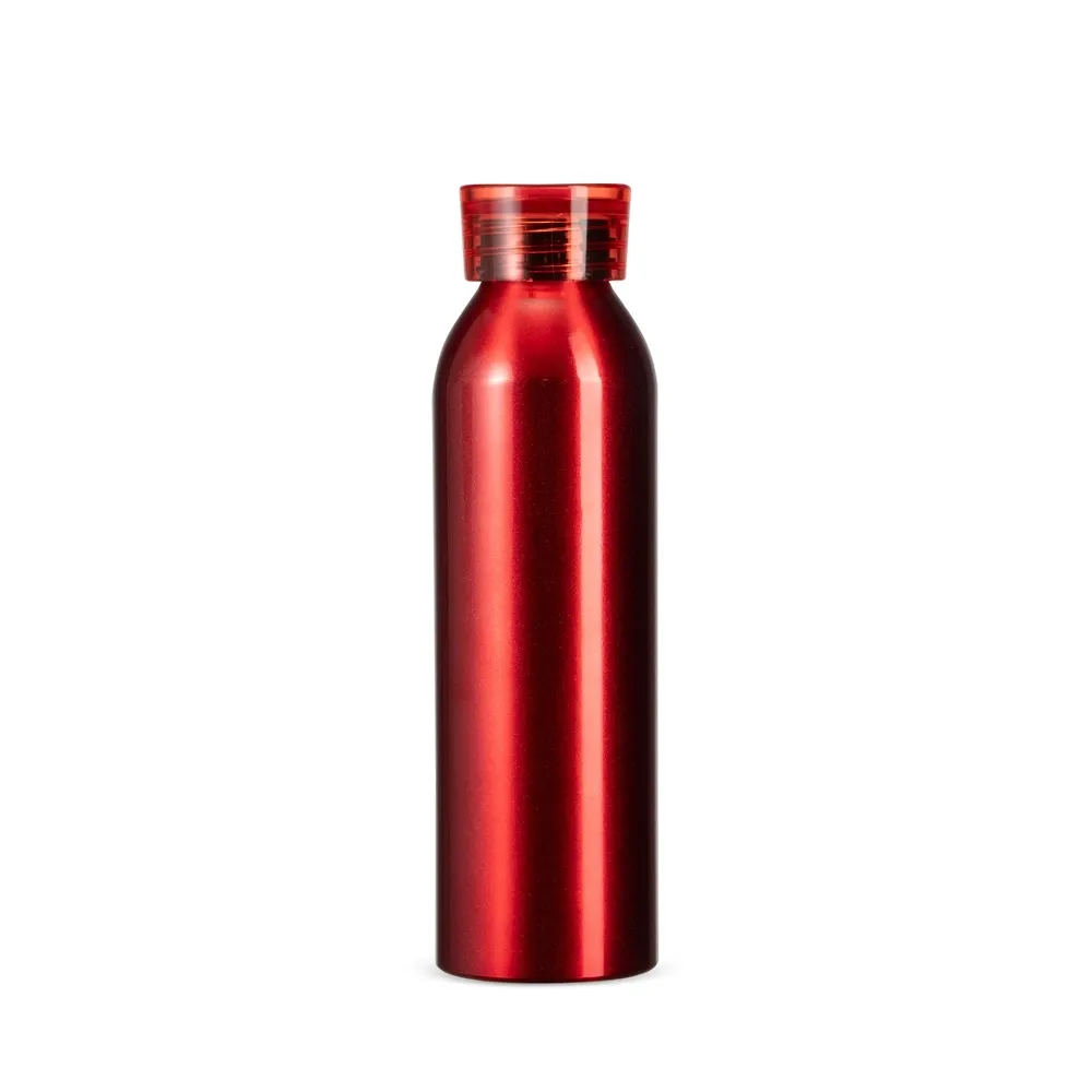 Garrafa Alumínio 650ml