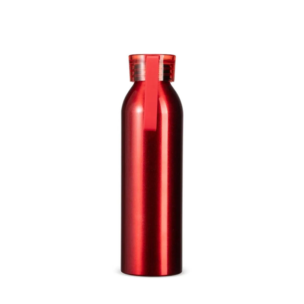 Garrafa Alumínio 650ml