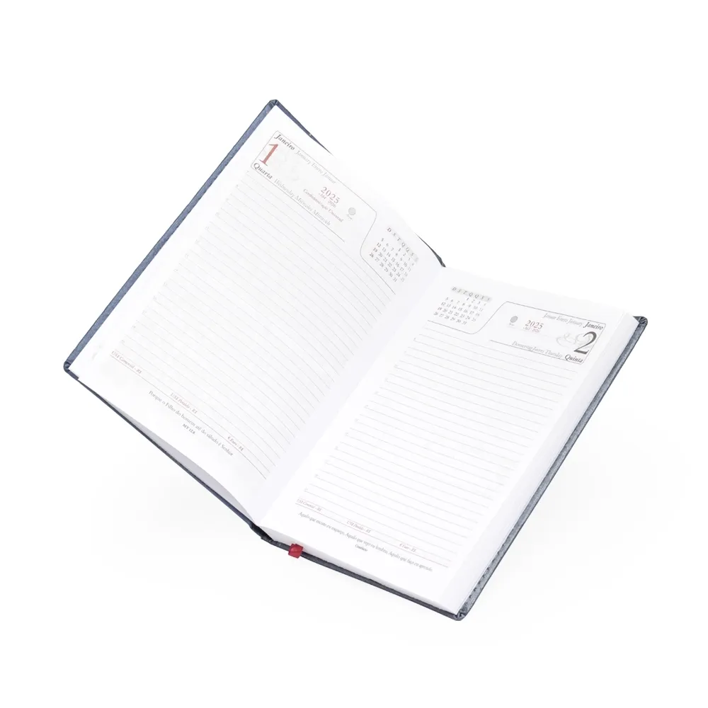Agenda Diária 2025
