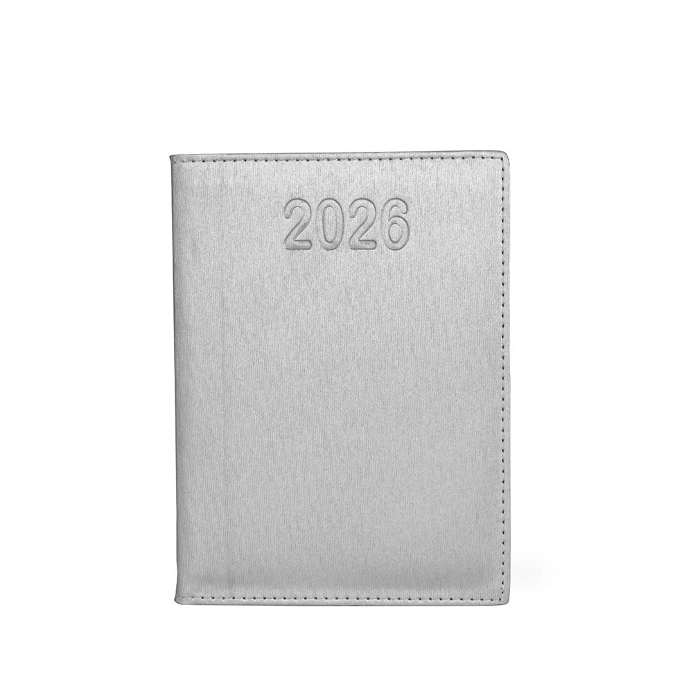 Agenda Diária 2025