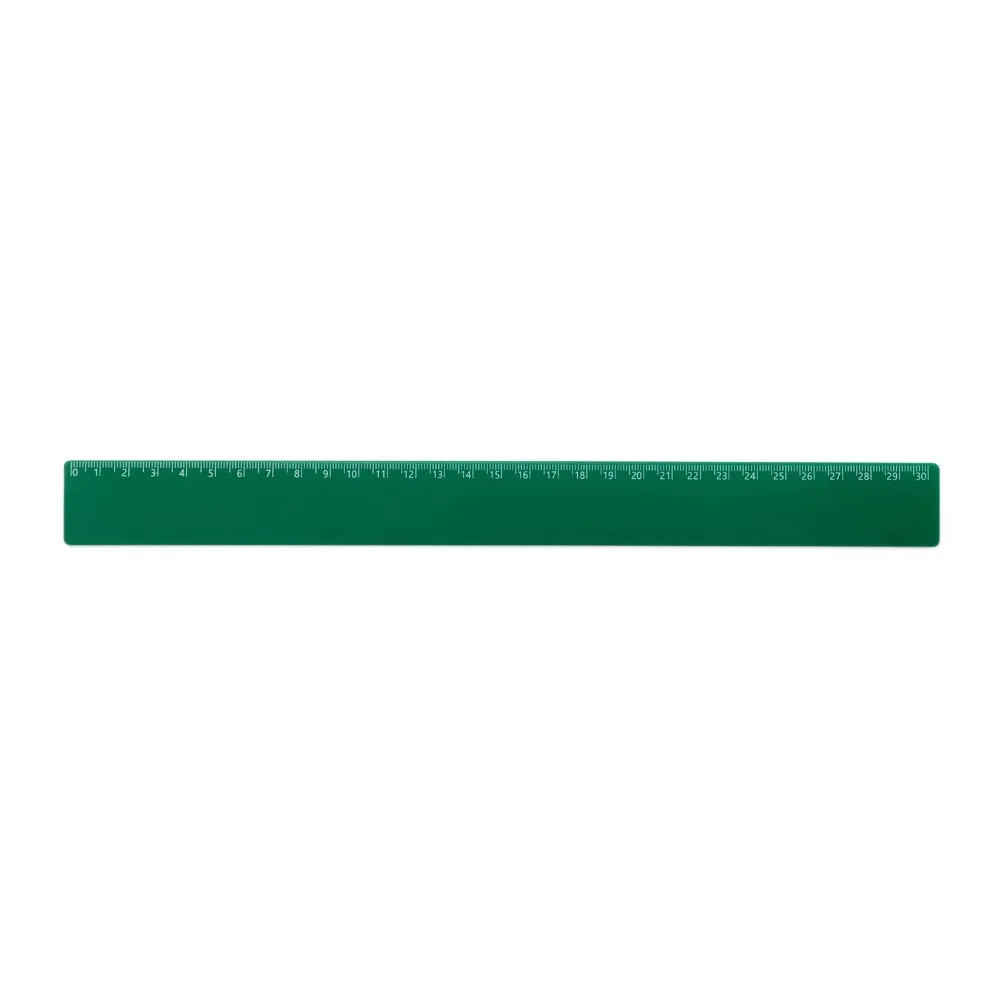Régua Plástica 30cm