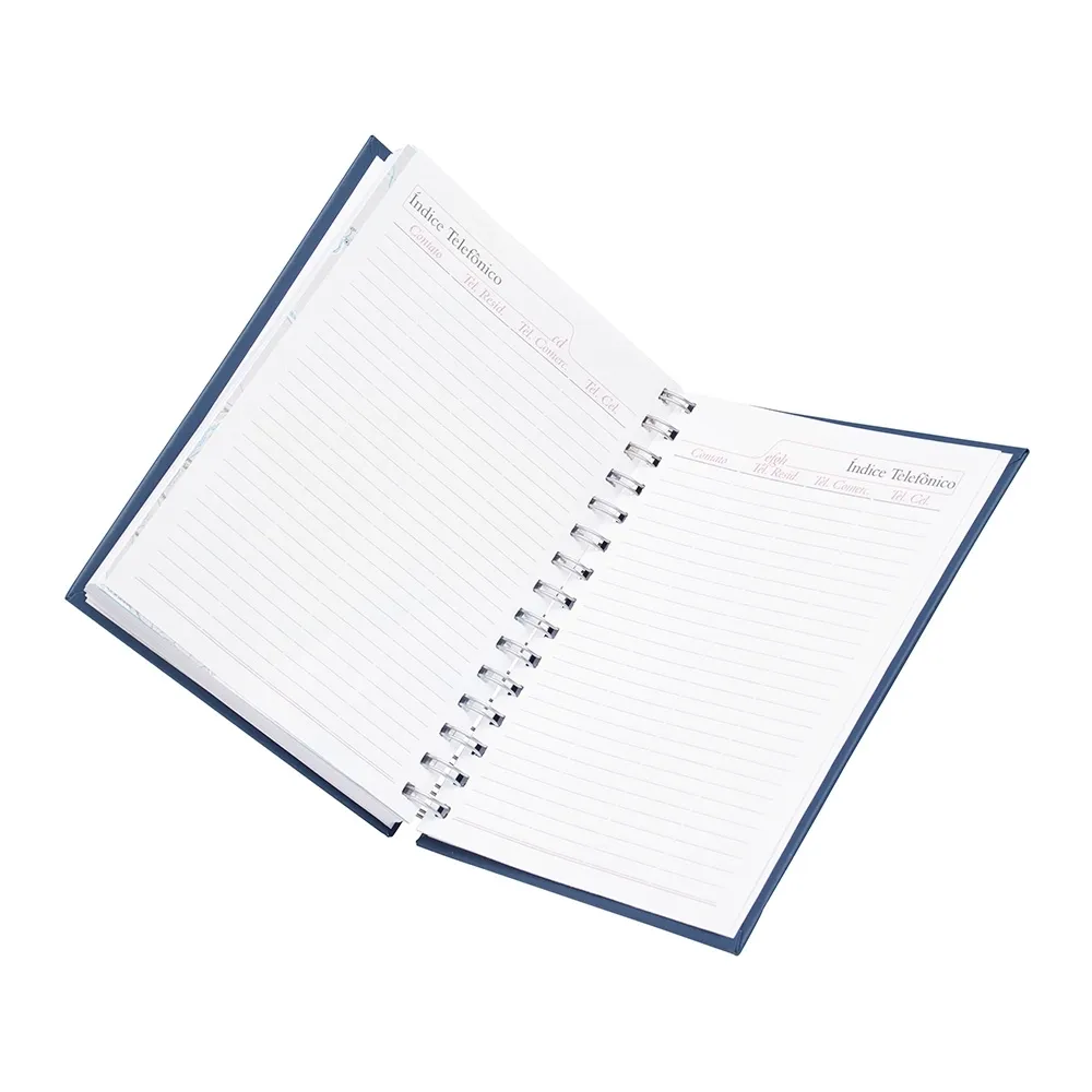 Agenda diária 2025 Wire-o