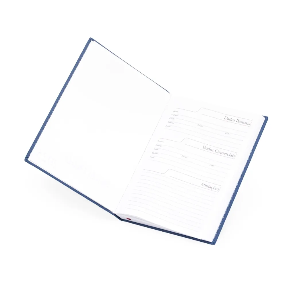 Agenda Diária 2025