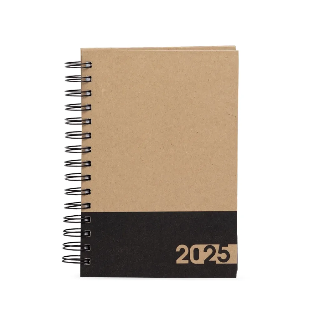 Agenda Diária 2025-15112