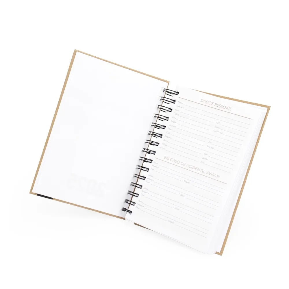 Agenda Diária 2025