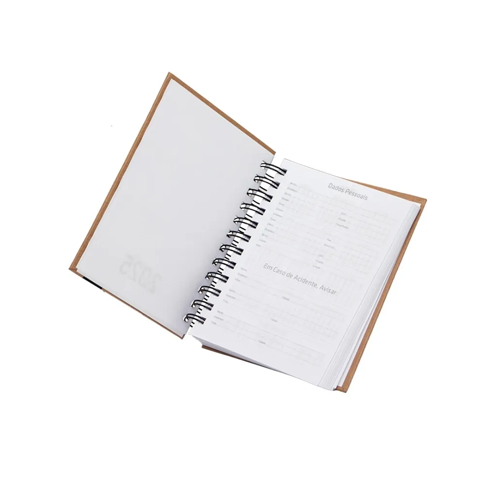 Agenda Diária 2025