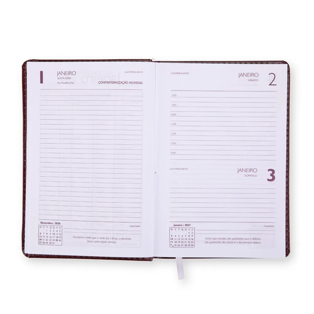 Agenda Diária 2027