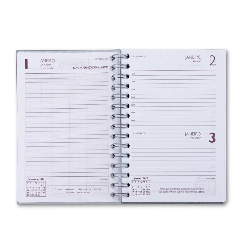 Agenda Diária 2027