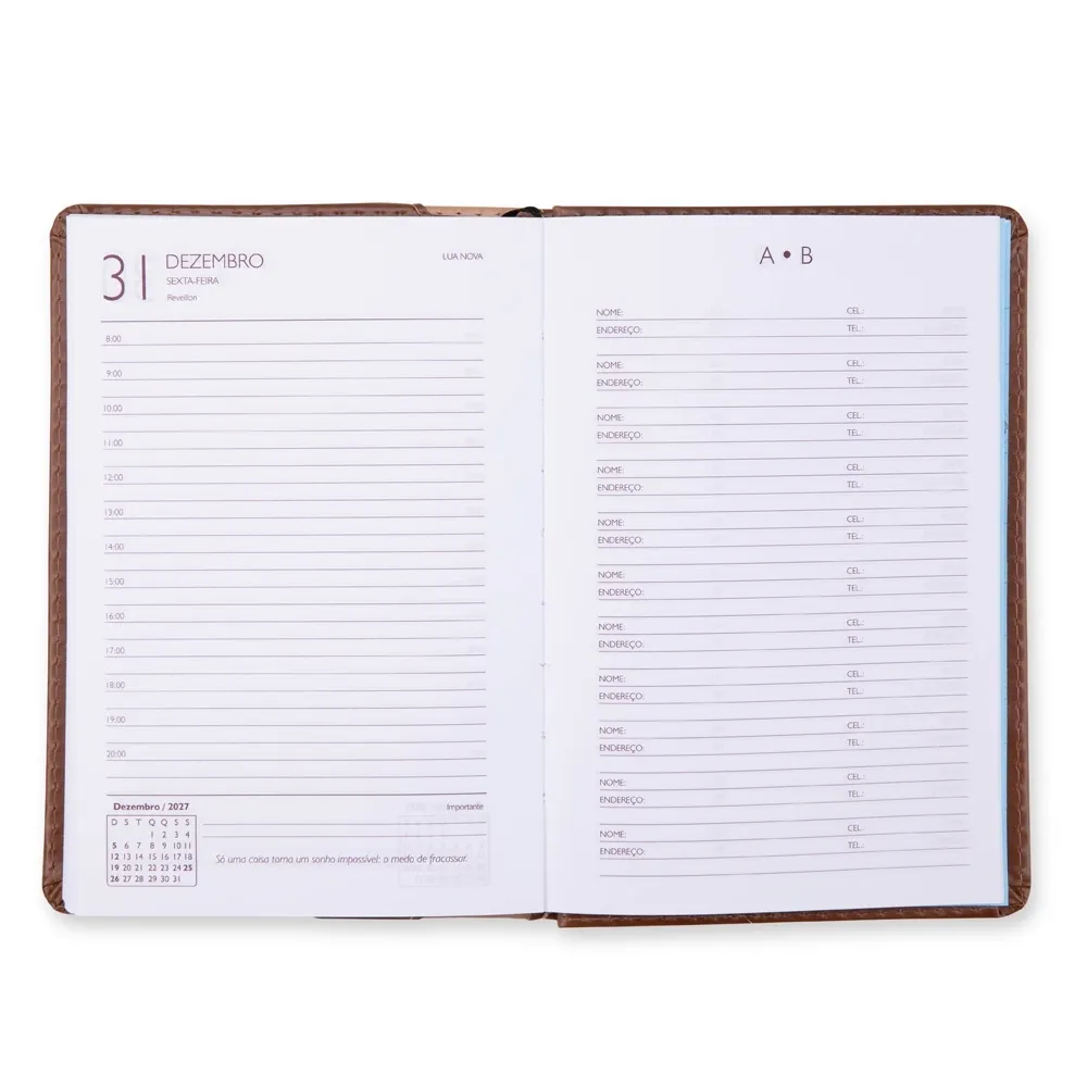 Agenda Diária 2027