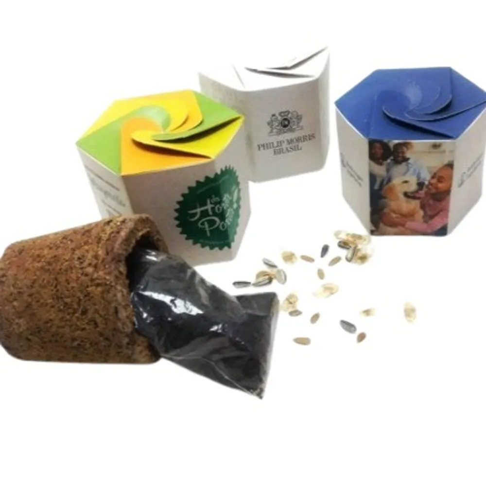 BEE COOL FIBRAS GIRO ECO BOX-BC0092SE