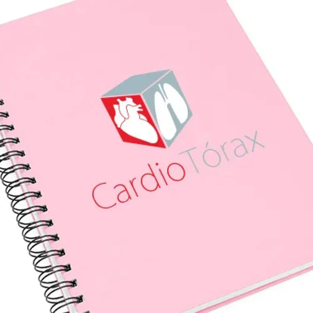 CADERNO PAUTADO COM WIRE-O - ROSA - 29X21,5CM - 100 FLS