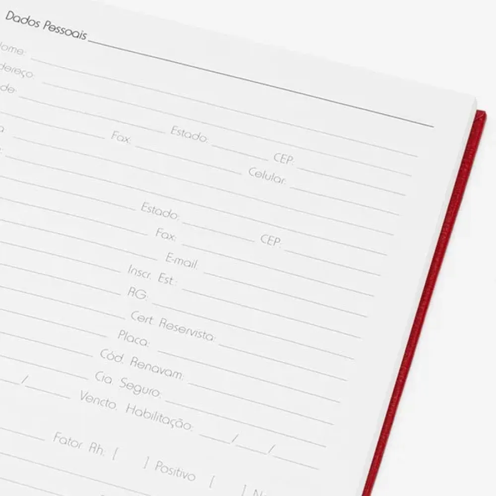 CADERNO PAUTADO COM WIRE-O - VERMELHO - 25,5X19,5CM - 100 FLS