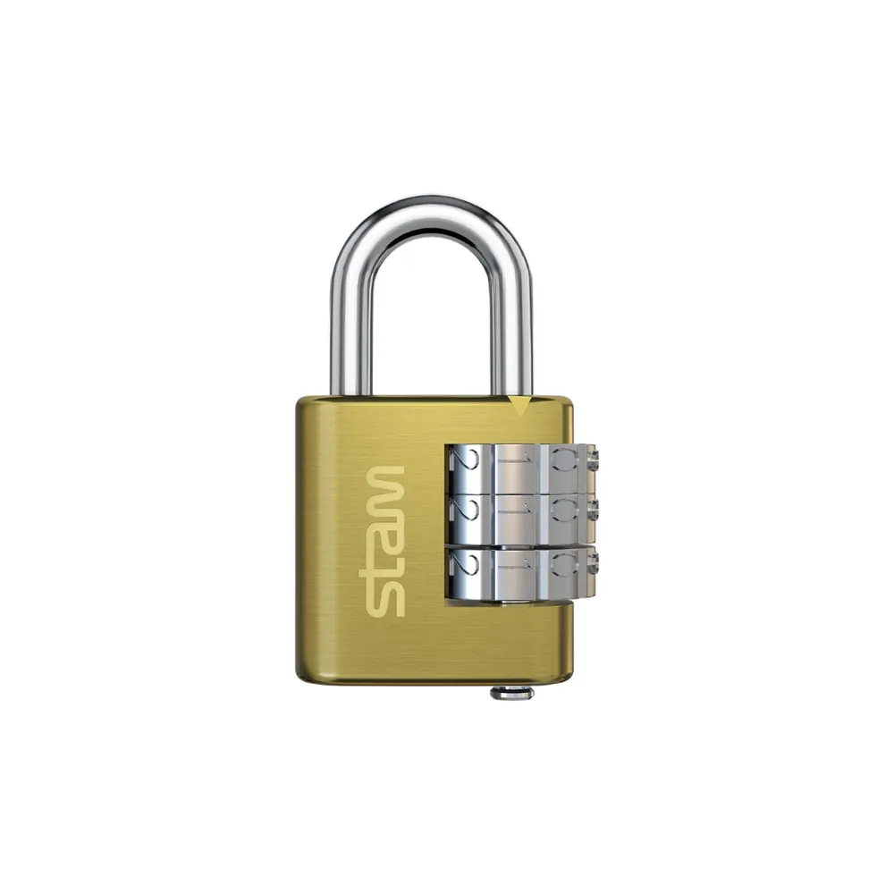 Cadeado de Zamac E-Coat com Segredo 25mm-CADS25