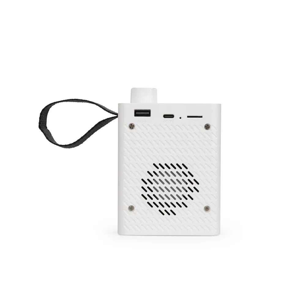 Caixa de Som Multimídia