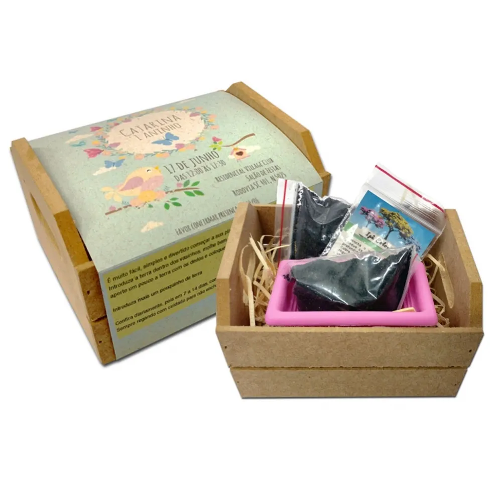 Cestinha de Frutas-BC0014SE