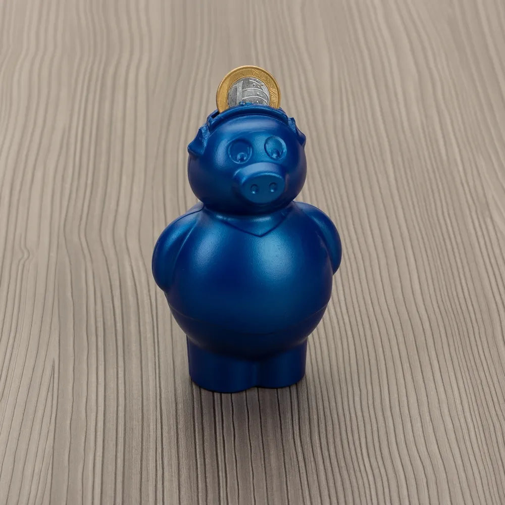 #Cofre Plástico Porquinho