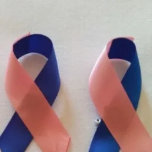 Laço em cetim -1209LINE