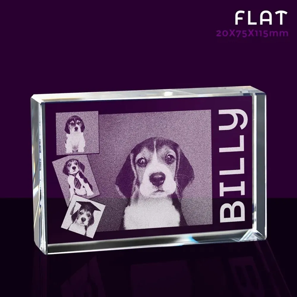 Flat-BL009