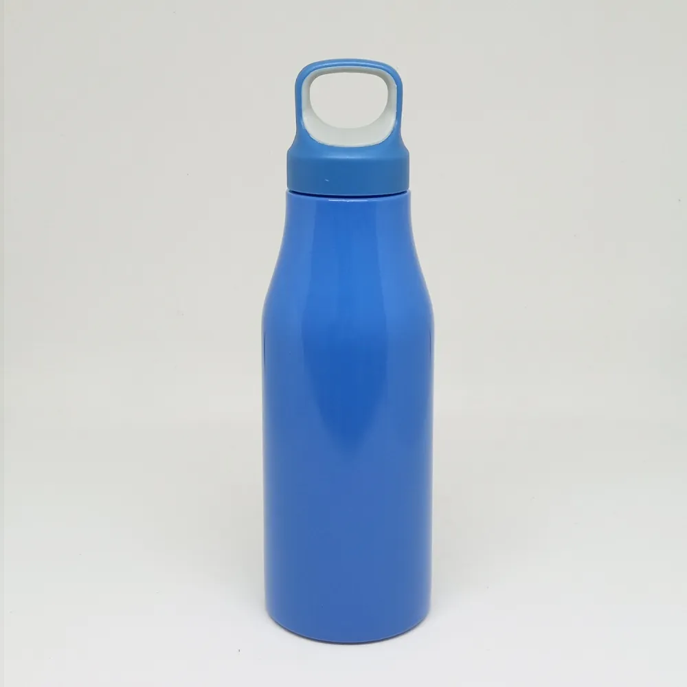 Garrafa Inox 650ml