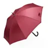 Imagem destacada do produto Guarda-chuva Automático