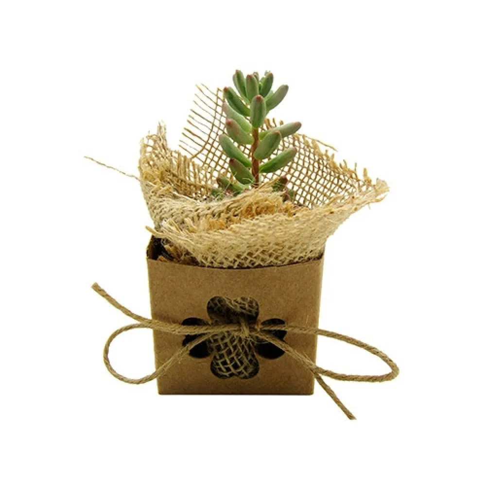 Kit Cultivo - Mini Planta Suculenta ou Cactus-BC0085SE