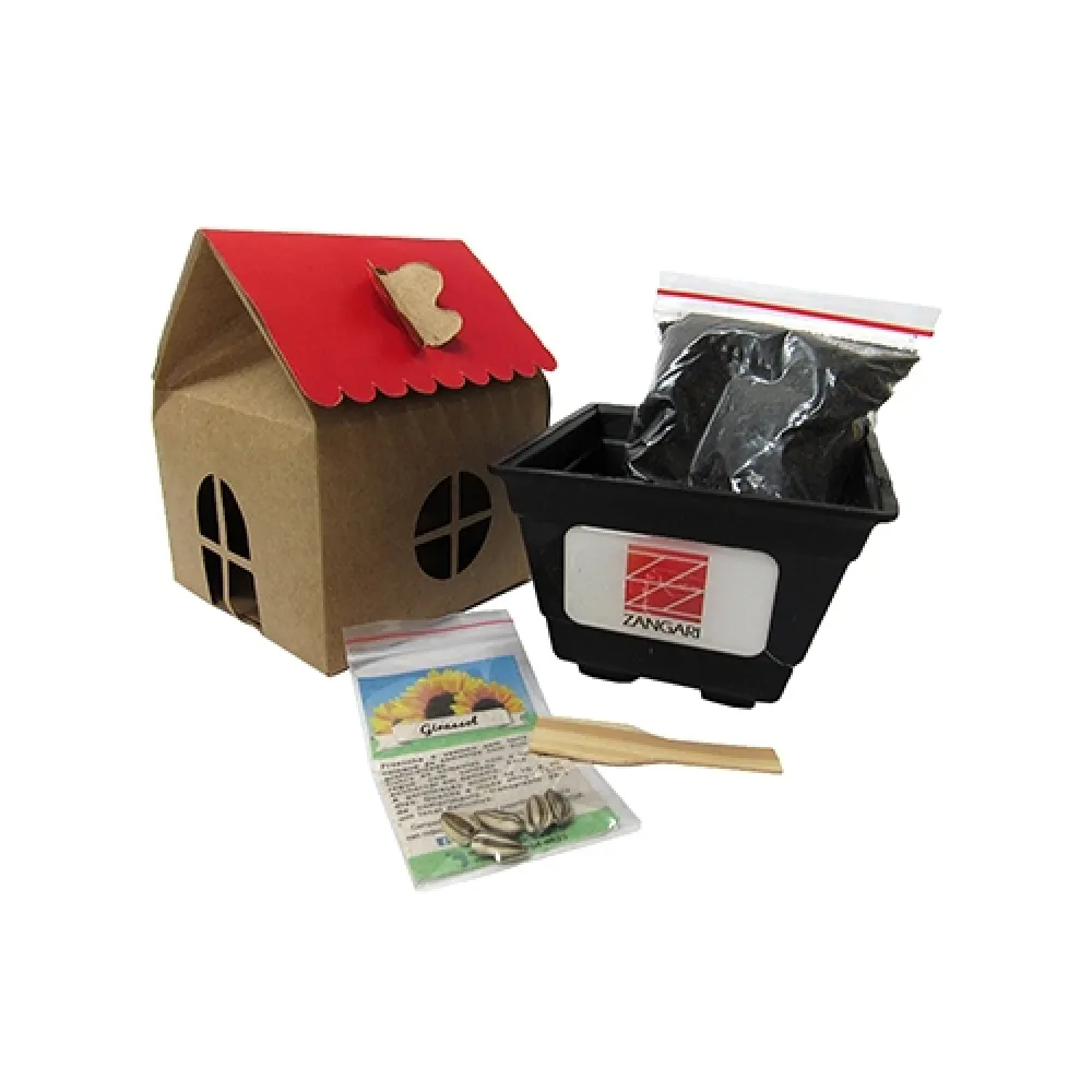 Kit Plantio na embalagem casinha