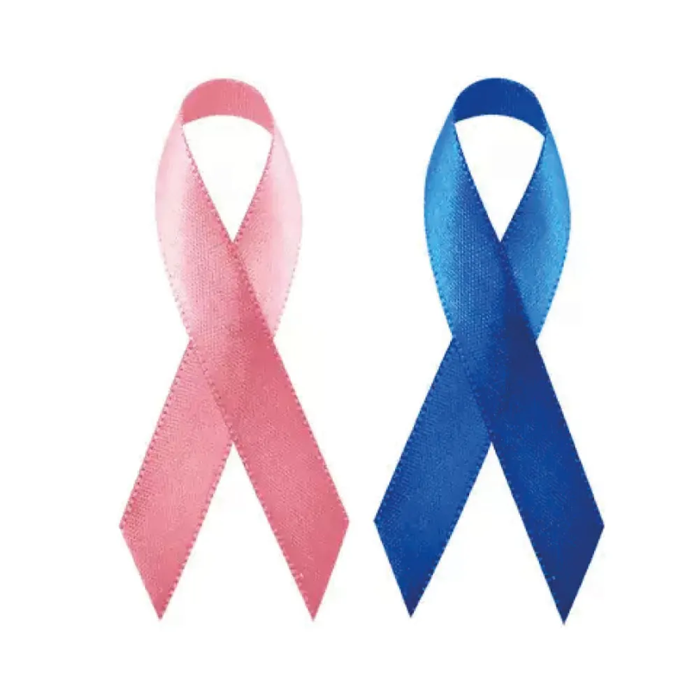 Laço de Cetim-lacocetim