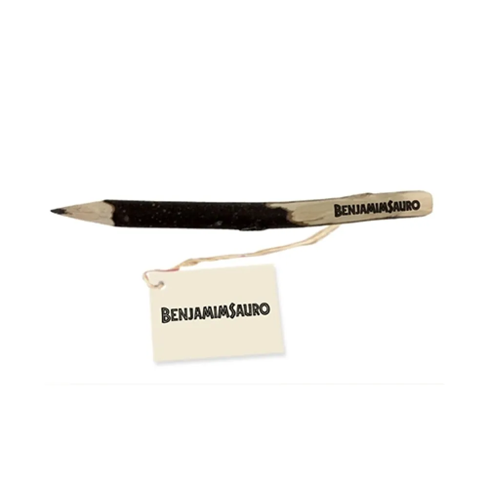 Lápis ecológico de gravetos-BC0016SE